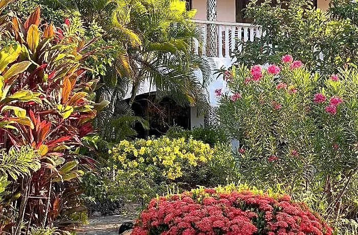 Linsen Self Catering 3* La Digue
