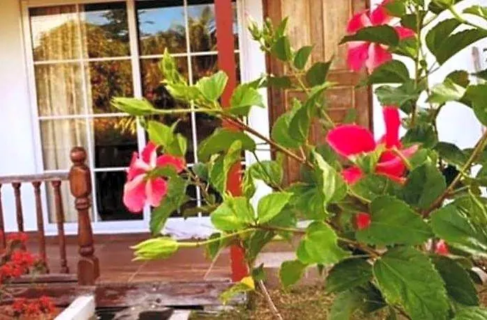 Linsen Self Catering 3* La Digue